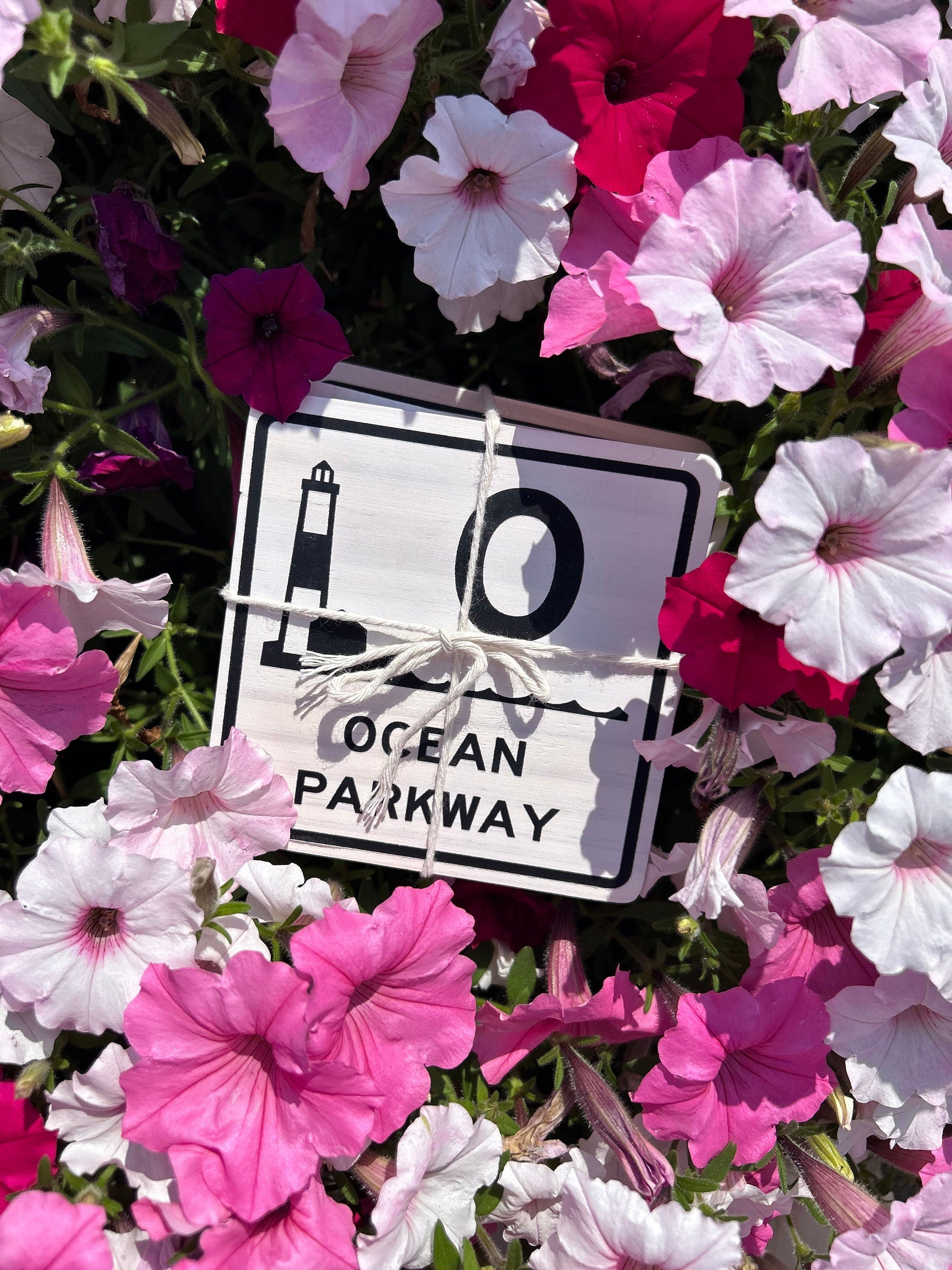 Long Island Parkway Coasters